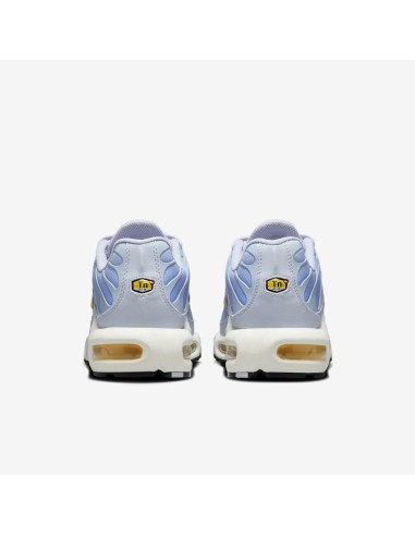 Nike Air Max Plus Daybreak Women's DZ3670004 MBS