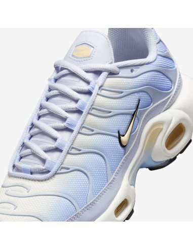 Nike Air Max Plus Daybreak Women's DZ3670004 MBS