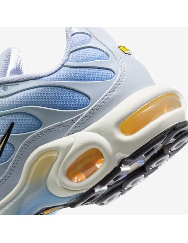 Nike Air Max Plus Daybreak Women's DZ3670004 MBS