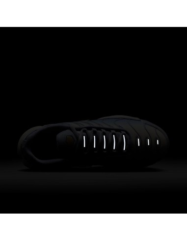 Nike Air Max Plus Daybreak Women's DZ3670004 MBS