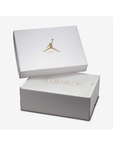 Jordan 4 Retro Net Black Women's FN7251001 MBS