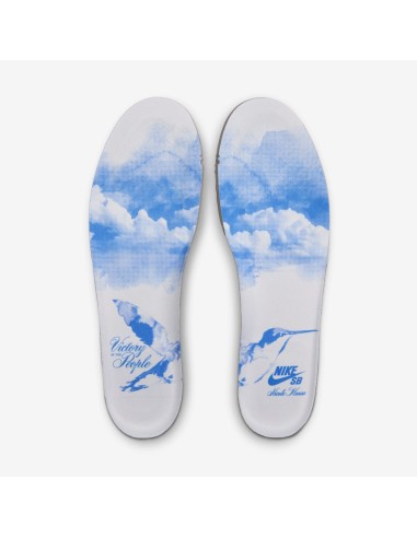 Nike SB Dunk Low Pro Nicole Hause FZ8802100 MBS