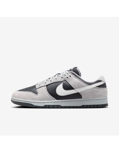 Nike Dunk Low Light Smoke Grey Anthracite HV2532001 MBS