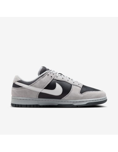Nike Dunk Low Light Smoke Grey Anthracite HV2532001 MBS