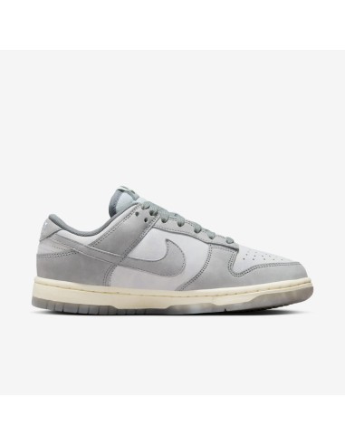 Nike Dunk Low Cool Grey Football Grey Women's FV1167001 MBS