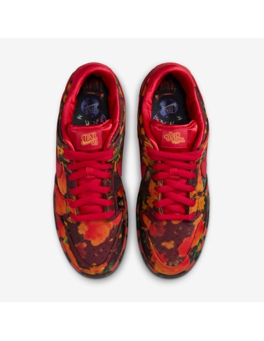Nike SB Dunk Low The Wizard of Oz Poppy Field FZ1291600 MBS