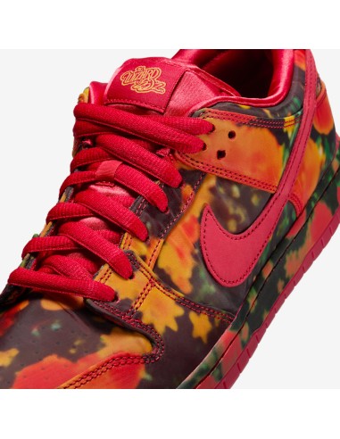 Nike SB Dunk Low The Wizard of Oz Poppy Field FZ1291600 MBS