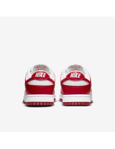 Nike Dunk Low Next Nature White Gym Red Women's DN1431101 MBS