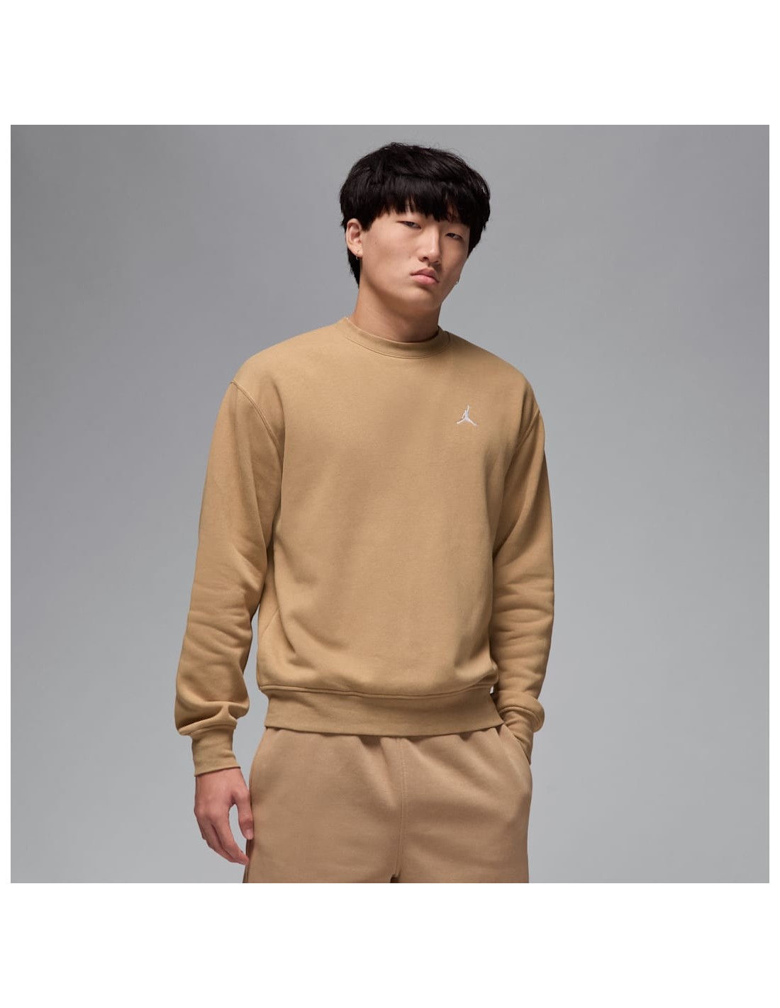 Ανδρικό φούτερ με crew λαιμόκοψη Jordan Brooklyn Fleece FV7293-257 MBS