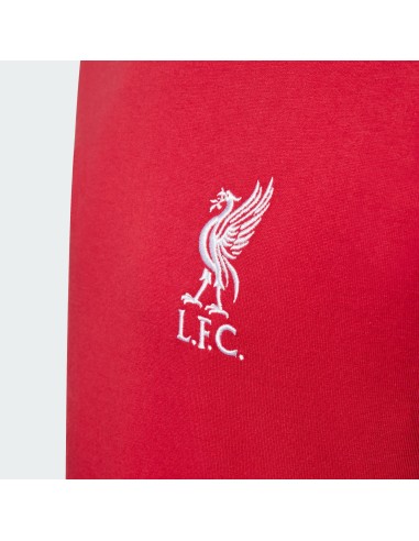 adidas Liverpool LFC Jr JW7883 Tshirt