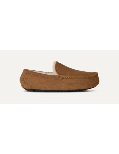 UGG Ascot Slipper Chestnut 1101110CHE MBS