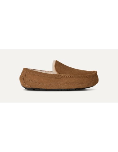 UGG Ascot Slipper Chestnut 1101110CHE MBS