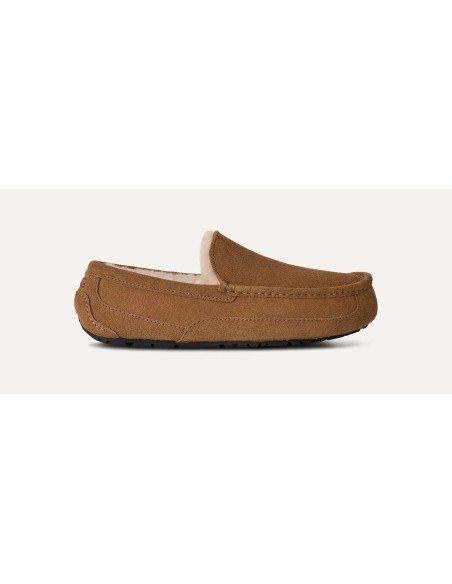 UGG Ascot Slipper Chestnut 1101110CHE MBS
