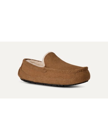 UGG Ascot Slipper Chestnut 1101110CHE MBS