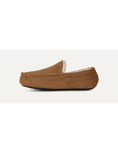 UGG Ascot Slipper Chestnut 1101110CHE MBS