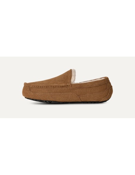 UGG Ascot Slipper Chestnut 1101110CHE MBS