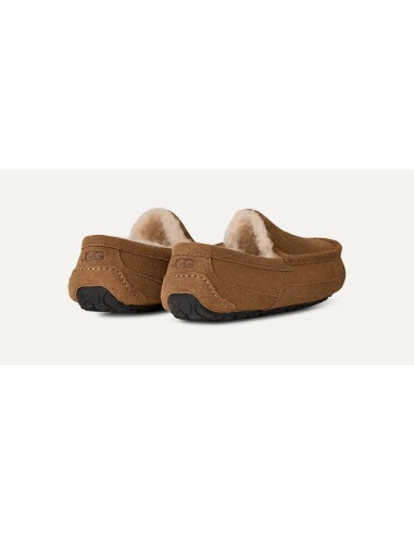 UGG Ascot Slipper Chestnut 1101110CHE MBS
