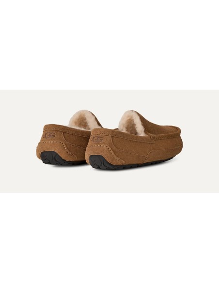 UGG Ascot Slipper Chestnut 1101110CHE MBS