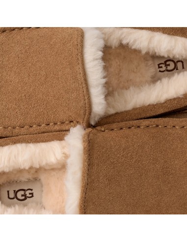 UGG Ascot Slipper Chestnut 1101110CHE MBS