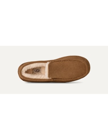 UGG Ascot Slipper Chestnut 1101110CHE MBS