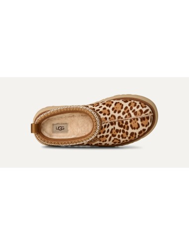 UGG Tazz Plains Slipper Felicity Leopard Jasmine Women's 1177890FDJ MBS