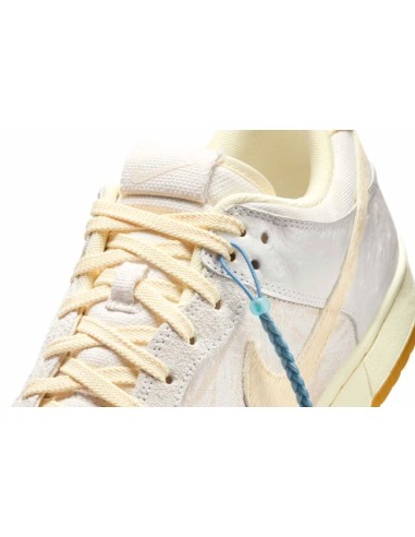 Nike Dunk Low Retro QS Tokyo City Edition IB2259001 MBS