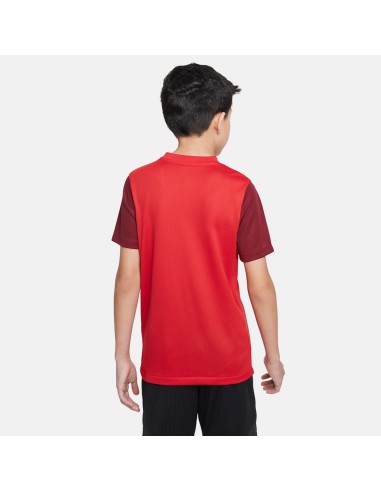 Nike Df Trophy V JSY SS TShirt DR0942 657