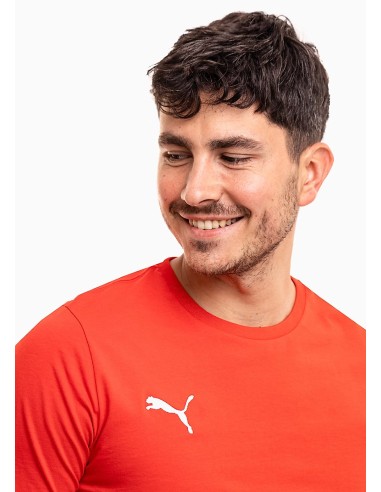 Puma Team Goal Casuals Tee M 658615 01