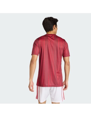 adidas Arsenal London PreMatch Shirt JZ6906