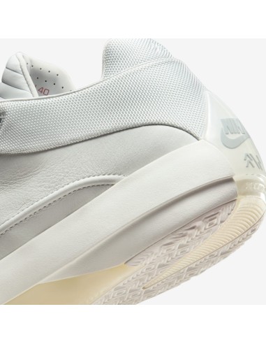 Jordan 40 Wolf Grey HM9931001 MBS