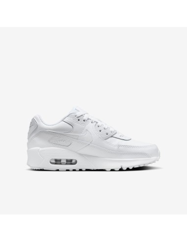 Nike Air Max 90 GS HF6358102