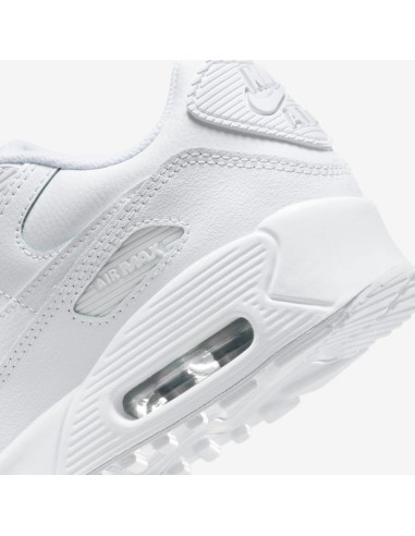 Nike Air Max 90 GS HF6358102