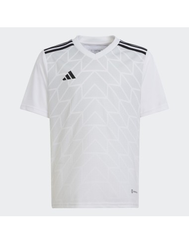 Adidas Team Icon 23 Jr HR2651 Tshirt