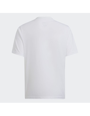 Adidas Team Icon 23 Jr HR2651 Tshirt