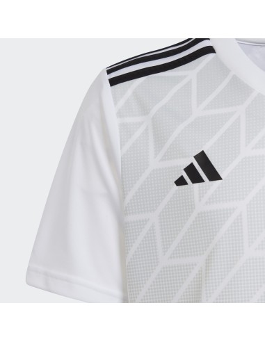 Adidas Team Icon 23 Jr HR2651 Tshirt