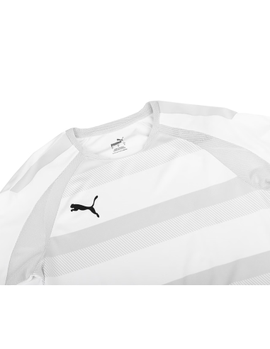 Puma teamVISION Jersey M 704921 04