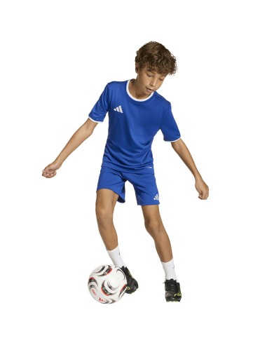 adidas ENTRADA 26 Short Junior JZ6524