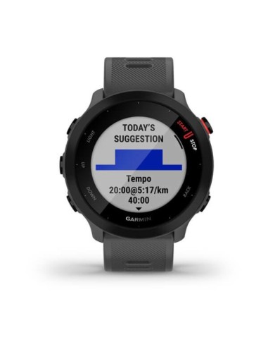 Garmin Forerunner 55 Sports Watch Gray 0100256213