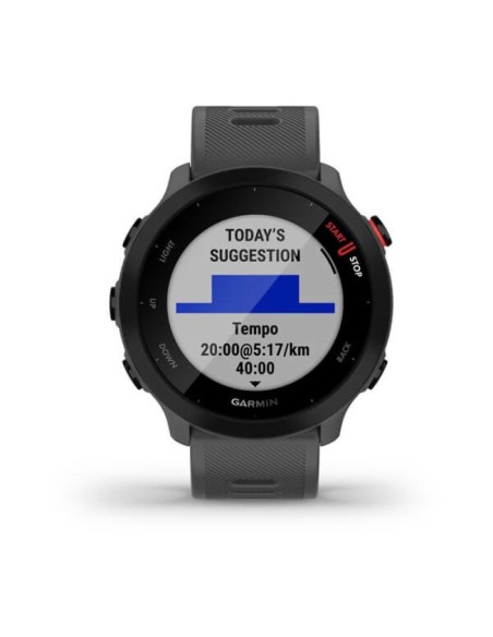 Garmin Forerunner 55 Sports Watch Gray 0100256213