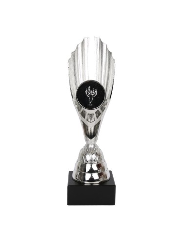 The Triumph Cup W1864