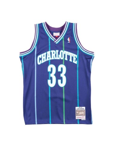 Mitchell Ness NBA Charlotte Hornets Alonzo Mourning Swingman Tshirt SMJYAC18010CHOPURP94AMO