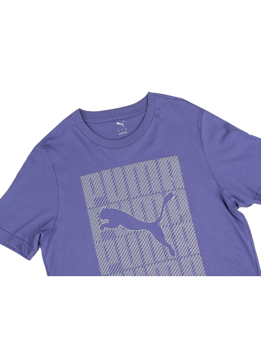 Puma Graphics Wording Tee M 684825 46