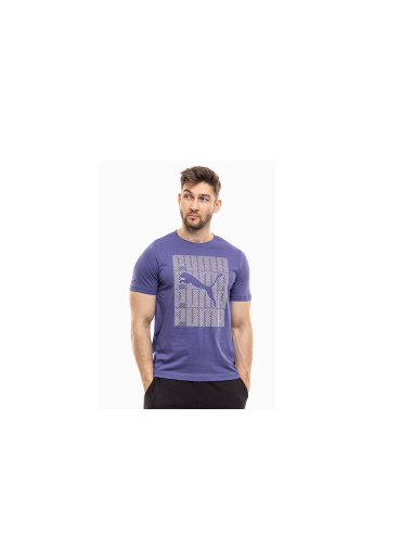 Puma Graphics Wording Tee M 684825 46