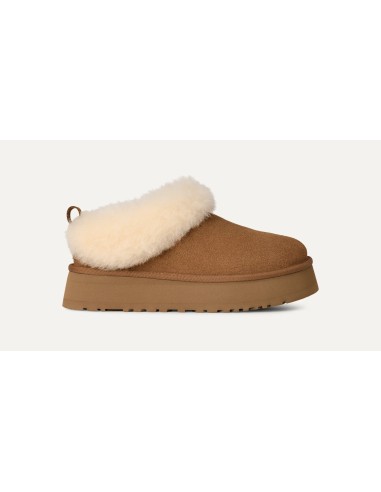 UGG Tazzelle 1171393CHE