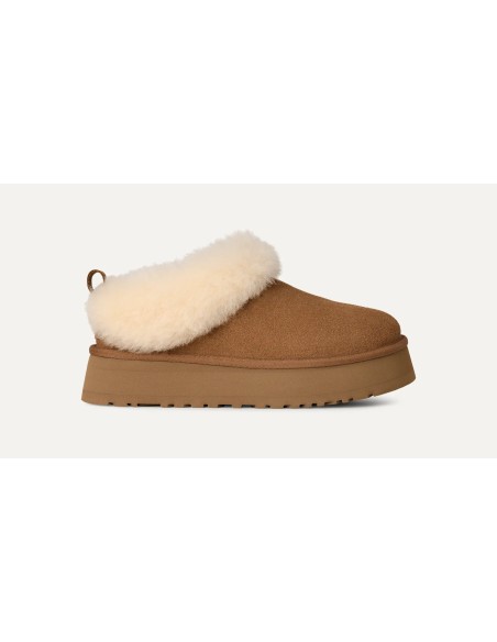 UGG Tazzelle 1171393CHE