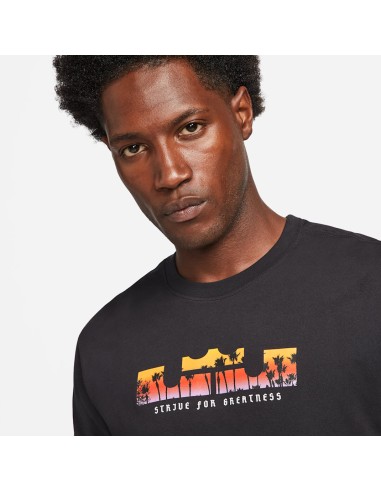 Nike LeBron Logo Dry Tshirt DB6178010
