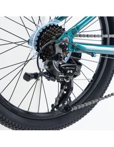 Children's Bike Radvik Viking 20 92800597756