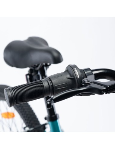 Children's Bike Radvik Viking 20 92800597756