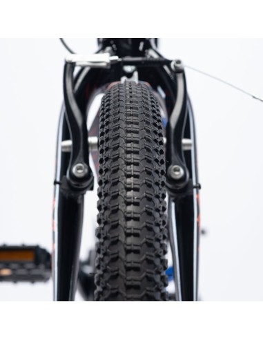 Children's Bike Radvik Viking 20 92800597757