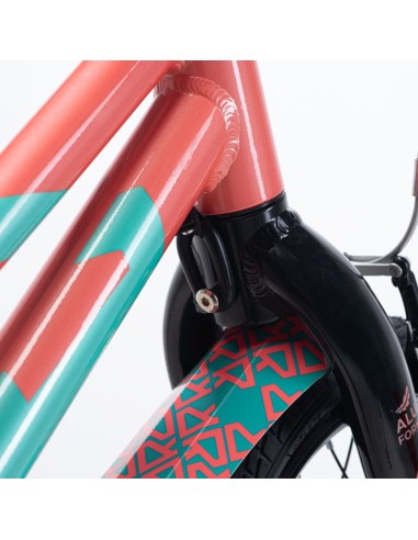 Children's Bike Radvik Viking 16 92800597754